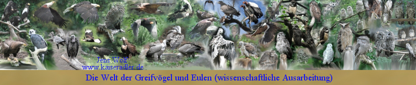 Klick zu "Die Welt der Greifvögel und Eulen"