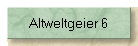 Altweltgeier 6