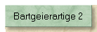 Bartgeierartige 2