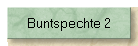 Buntspechte 2