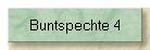 Buntspechte 4