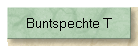 Buntspechte T