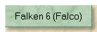Falken 6 (Falco)