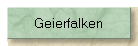 Geierfalken