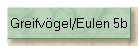 Greifvgel/Eulen 5b