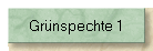 Grnspechte 1