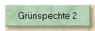 Grnspechte 2