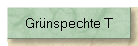 Grnspechte T