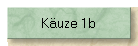 Kuze 1b