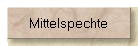 Mittelspechte