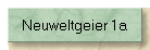 Neuweltgeier 1a