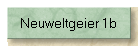 Neuweltgeier 1b